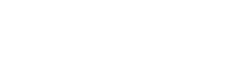 Logo Newz Stock no rodapé